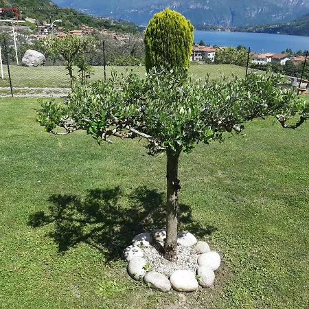 Garzola Double Lake Como View 아파트 *